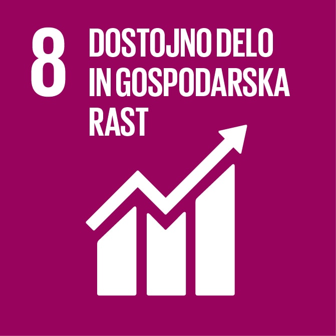 8. cilj trajnostnega razvoja in globalno učenje