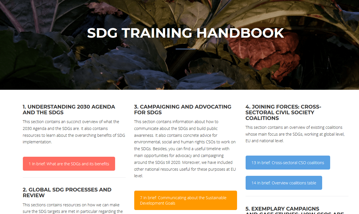 Priročnik SDG Training Handbook